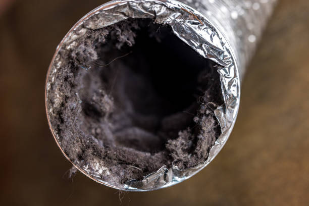 Best Professional Duct Cleaning Services  in Lock Haven, PA